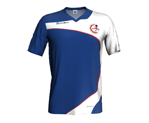 gallery/camiseta